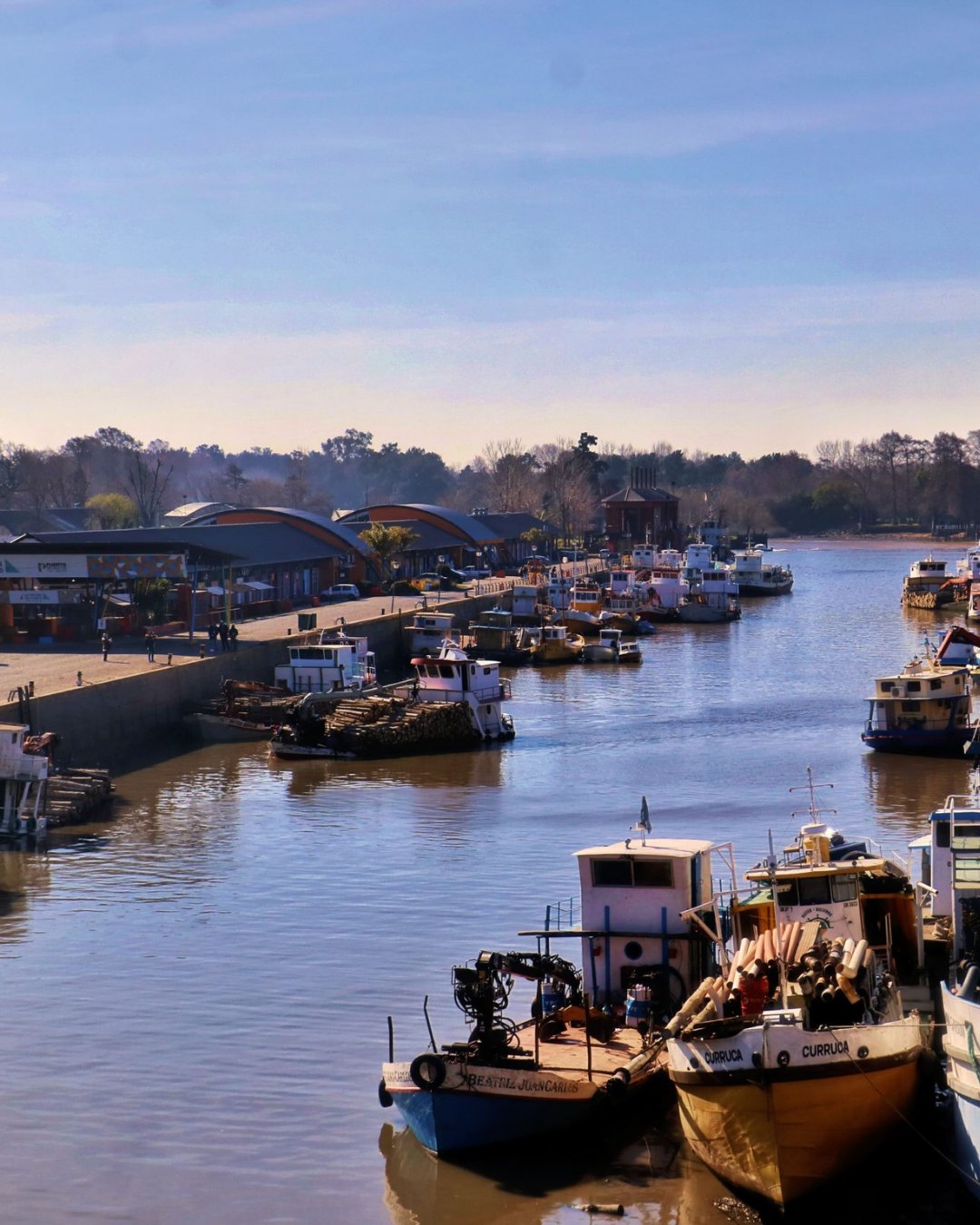 Puerto de Frutos, Tigre